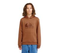 (12 Yrs, Rawhide) Quiksilver Kids Comp Logo Pullover Hoodie