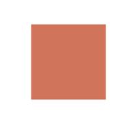 (120 Bashful Blush) Clinique Blushing Blush Powder Blush 120 Bashful Blush 6g / 0.21 oz.