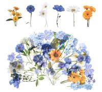 120 Pcs Flower Stickers Self-Adhesive Waterproof Aesthetic Flower Stickers 60 Styles Adhesive Plant Floral Sticker Clear Journal Flowers Sticker for Girls DIY Scrapbook Album Scrapbook Laptops Craft