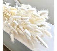 120 PCS Natural Bunny Tails Flowers Lagurus Bunny Tails Pampas Grass Decor Lagurus Ovatus Dried Grass Bouquet for Flower Arrangements Boho Wedding Bouquets Home Decor Garden Decor（White）