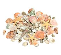 120 PCS Sea Shells Mixed Beach Seashells 12 Kinds of Shells Colorful Seashells with Starfish for Home Decoration, DIY Crafts, Fish Tank and Vase Filler (Multi)-350g