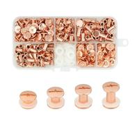 120 Set Chicago Screw Posts, 4-6-8-10mm Rivet Binding Screws Rose Gold