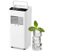 12000 Btu Portable Air Conditioner for Rooms up to 300 Sq Ft,Fast Cooling with Dehumidifier,Fan,30db Sleep Mode,24h Timer,Window Kit