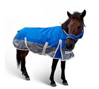 1200D Waterproof Horse Turnout Blanket for Mini Horse, Pony, Foal, Donkey 260g Medium Weight Winter Horse Blanket for Miniature Horses
