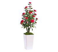 120CM/4FT Artificial Camellia Tree, Faux Camellia Plant in Pot with 24 Red Flowers, Greenery Camellia Tree for Front Home Door, Large Artificial Plants Indoor Outdoor