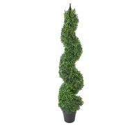 Leaf Buxus Boxwood Spiral Trees 120Cm Buxus Spiral Single 120Cm Plants, Green