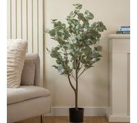 120cm Eucalyptus Tree Scottish Everlastings Ltd Green One Size