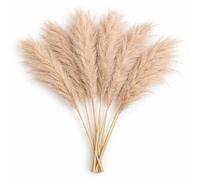 120cm Natural Dried Pampas Grass - Pack of 10 Long Decorative Stems for Floor Vases, Boho Home Décor, Weddings & Events