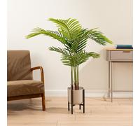 120cm Palm Tree in Pot KD Scottish Everlastings Ltd Green One Size