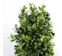 120cm Sprial Buxus Artificial Tree UV Resistant Outdoor