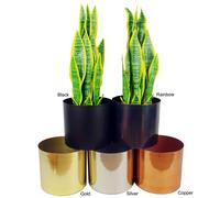 120cm Twisted Trunk Artificial Japanese Fruticosa Style Ficus Tree