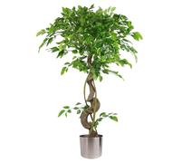 120cm Twisted Trunk Artificial Japanese Fruticosa Style Ficus Tree Silver Planter