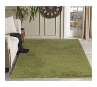 Desire Rugs Modern Elegant Soft Shaggy Rug for Living Rooms - Stylish Area Rugs in Green | Size: 120 cm x 170 cm Desire Rugs Green 120 cm x 170 cm