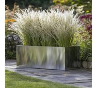 120cm Zinc Galvanised Silver Trough Planter Woven Wood Silver One Size