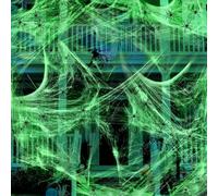 120g Halloween Spider Web Decoration, Halloweens Decorations, 40 Fake Horrible Luminous Plastic Spiders, Spiders Web Halloween Decoration for Halloweens Haunted House Outdoor Yard Home Wall Decor