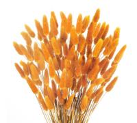 120Pcs Bunny Tails Dried Flowers Orange Bunny Tails Pampas Grass Decor