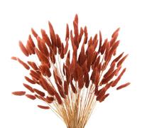 120pcs Burnt Orange Bunny Tails Dried Flowers,17" Dried Faux Pampas Grass Bulk Decor Fall Pampas Dried Boho Flowers Lagurus Ovatus Rabbit Bunny Tail Grass for Home Wedding Decor Crafts