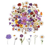 120Pcs Flower Stickers for Scrapbooking,Natural Flowers Aesthetic Scrapbook Stickers, Transparent Floral Stickers Set for Scrapbook Supplies,Craft, Card, Laptop, (60 Styles)