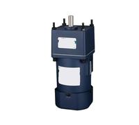 120W AC Gear Reduction Motor 220V Low Speed high Torque Speed Regulation Slow Forward and Reverse Electric Motor(12 axes,30 rpm)