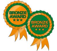 125 Metallic Bronze Award Rosette Childrens Pupils School Praise Teachers Reward Motivational Stickers 54x37mm Primary Teaching Services