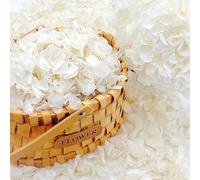 1250+ Real Dried Lvory White Hydrangea Petals - 0.88 oz Preserved Natural Flower Petals for Wedding Decor, Flower Girl, Party Confetti, Dinner Table Centerpieces, Handcrafts