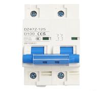125A DC MCB for Solar PV System 2P Circuit Breaker, High Breaking Capacity (100A)