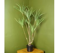 Dragon Tree Dracaena Plant 125cm Natural Look Artificial Botanik Leaf Green One Size