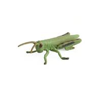 (127-656 Grasshopper 11.5g) Simulation solid bee spider butterfly rhinoceros beetle centipede insect animal model children's toy sand table ornaments