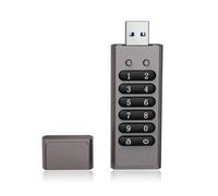 128GB 256-bit Encrypted USB Drive Password Secure Flash USB3 0 U Disk with Reset Wipe Auto Lock Function High Security Safer Design High-speed Transmission Compact Plug N Play