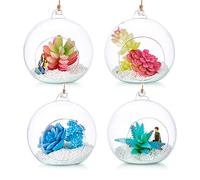 12cm Hanging Glass Globes Terrarium Orbs 4 Pcs Glass Planter Big Opening Air Fern Plants Vase Hanger for Home Party Wedding Garden DIY Design