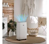 HOMCOM 12L/Day 2500ml Dehumidifier for Home with 24H Timer 2 Speed - 28.8L x 19.8W x 50.9Hcm - White