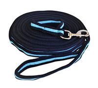 12m / 39ft Extra Long Dog Recall/Obedience Line & Horse Training Lunge/Lunging Lead. 25mm - 1" Wide. Very Strong (Blue)