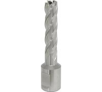 12mm x 50mm Depth Rotabor Cutter - M2 Steel Annular Metal Core Drill 19mm Shank