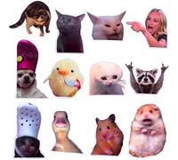 12PC Funny Meme Animals Fridge Magnets, Fun Cute Weird Magnetic Crying Cat Dog Hamster Duck Magnets for Gaming Kitchen Home Decor Bumper School Locker Work for Boys Girls Adult Accessories