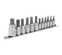 12pc TRX Star Socket Bit Set - 1/4" 3/8" 1/2" Square Drive - T10 to T60 TORX Kit