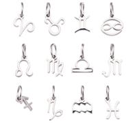 12Pcs 304 Stainless Steel Twelve Constellations Charms for Jewelry Making