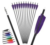 12Pcs 4inch Turkey Feather Mixed Carbon Arrow 500 Spine Archery Hunting Arrows Suit for Compound/Recurve Bow Target Practice Arrow (purple, 31inch 6pcs)