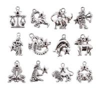 12Pcs Alloy Twelve Constellations Charm Pendant, Metal Flat Twelve Constellations Sign Pendant For Jewelry Making Accessories