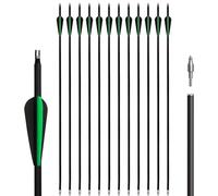 12pcs Archery Carbon Arrow Set, 30 Inch with Removable Arrows for Compound and Recurve Bows Practice Hunting Targeting Arrows