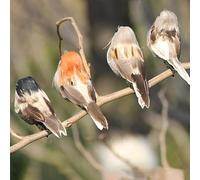 12Pcs Artificial Feathered Birds, Christmas Mini Foam Bird Clip on Tree Ornaments, Fake Sparrow Bird Decor Simulation Feathered Sparrow Bird for Festival Season Christmas Tree Home Garden(#1)
