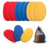 12Pcs Clay Sponges for Clay, Boyistar Ceramics Pottery Clay Sponge for Shaping and Clean Sponge with 3-Density Clay Sponge Artists Sponge for Pottery Modeling Sculpting with Mesh Bag