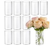 12pcs Clear Glass Cylinder Vase