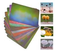 12pcs Colorful Macro Photography Background Cards - Blurred Background Paper for Studio Photography, Light Absorbing Ecological Material for Small Product, Food and Jewelry Images