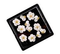 12PCS Elegant Colorful Rose Camellia Nail Decoration 3D Nail Decoration Nail Polish for Party Wedding and Daily Wear
