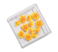 12pcs Elegant Colorful Rose Camellia Nails Embellishments Nails Decoration Manicure for Parties Weddings and Daily Wear Nail Art for Fashion Enthusiasts