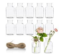 12PCS Flower Vase, 125ml Small Glass Vase Set Clear Bud Vases for Table Decoration, Cute Handmade Vases Mini Glass Bottles with 5M Jute Twine for Table, Wedding Recepetion, Home