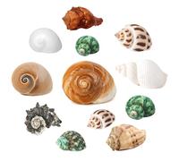 12PCS Hermit Crab Shells | 1.6"-3.2" Natural Sea Conch Shells | Growth Turbo for Small, Medium&Large Crabs | Saltwater Hermit Crab Supplies | Sea Shell for Beach Decor