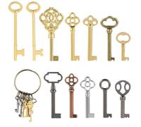 12PCS Hollow Barrel Skeleton Key, Universal Barrel Key Replacement, Generic Skeleton Key for Vintage Furniture and Locks