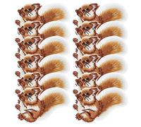 12Pcs Iron on Patches Embroidered Patches Squirrel Sew on Patches Embroidered Badge Applique for Clothes Shoes Hat Bags