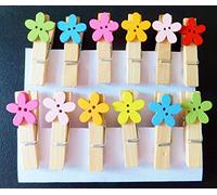 12Pcs Mini Wooden Pegs, Bright Flowers, Photo Clips-Wedding Decor-Craft 35mm